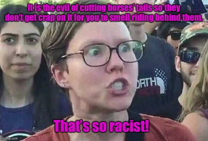 Triggered Liberal | It is the evil of cutting horses’ tails so they don’t get crap on it for you to smell riding behind them. That’s so racist! | image tagged in triggered liberal | made w/ Imgflip meme maker