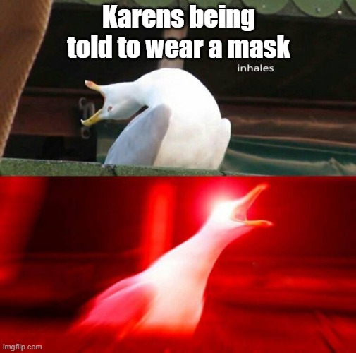 Karens when told to wear a mask |  Karens being told to wear a mask | image tagged in inhaling seagull | made w/ Imgflip meme maker