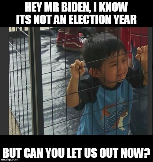 Mr Brandon | HEY MR BIDEN, I KNOW ITS NOT AN ELECTION YEAR; BUT CAN YOU LET US OUT NOW? | image tagged in kids in cages,politics,joe biden | made w/ Imgflip meme maker