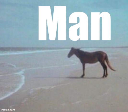 man. | Man | image tagged in man | made w/ Imgflip meme maker