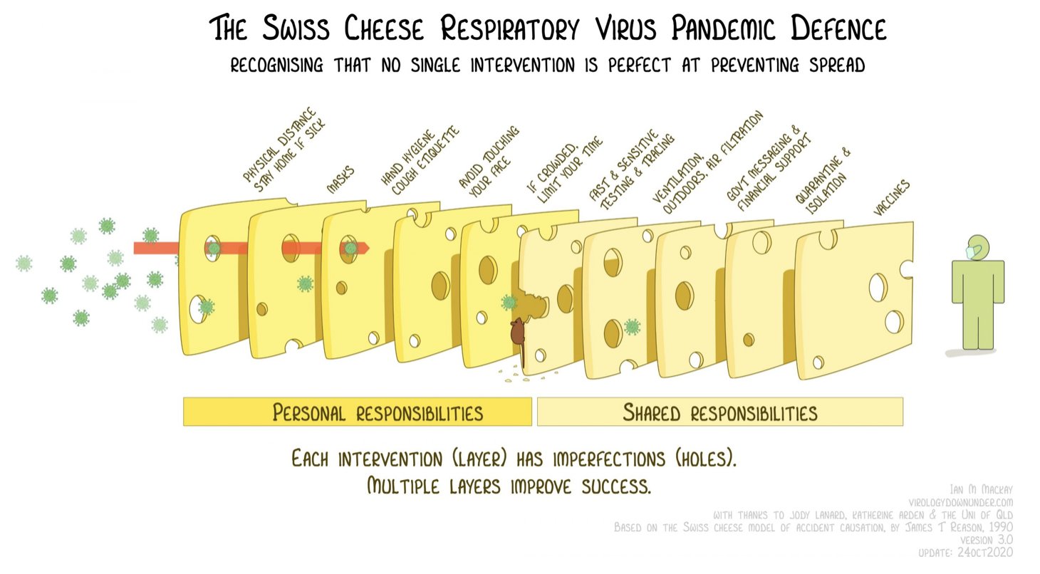 Swiss Cheese Model Blank Meme Template