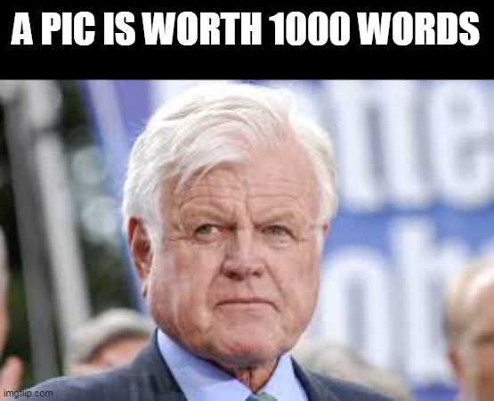 ted kennedy | A PIC IS WORTH 1000 WORDS | image tagged in ted kennedy | made w/ Imgflip meme maker