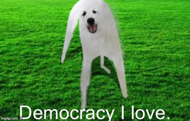 Democracy I Love | image tagged in democracy i love | made w/ Imgflip meme maker