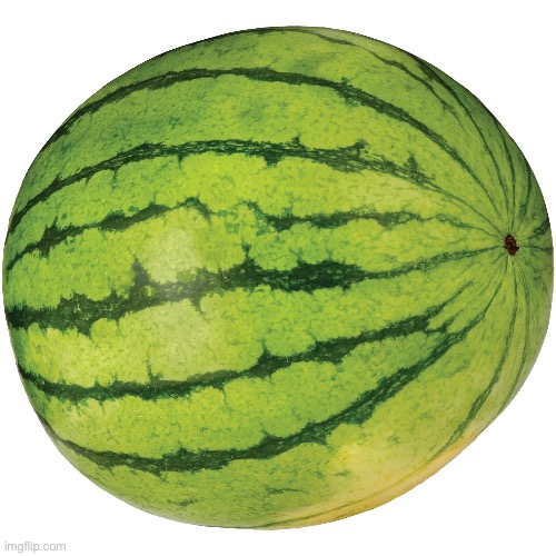 watermelon | made w/ Imgflip meme maker