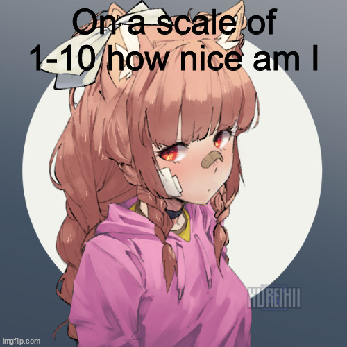 Ginger :3 | On a scale of 1-10 how nice am I | image tagged in ginger 3 | made w/ Imgflip meme maker