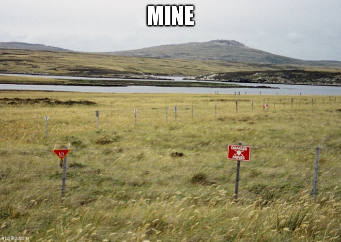Minefield | MINE | image tagged in minefield | made w/ Imgflip meme maker