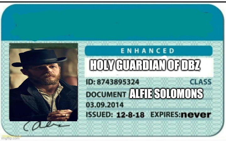 Blank Hunting License | HOLY GUARDIAN OF DBZ; ALFIE SOLOMONS | image tagged in blank hunting license | made w/ Imgflip meme maker