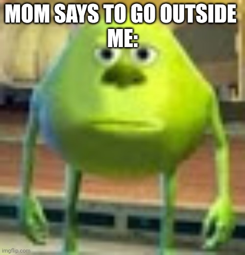Sully Wazowski | MOM SAYS TO GO OUTSIDE 
ME: | image tagged in sully wazowski | made w/ Imgflip meme maker