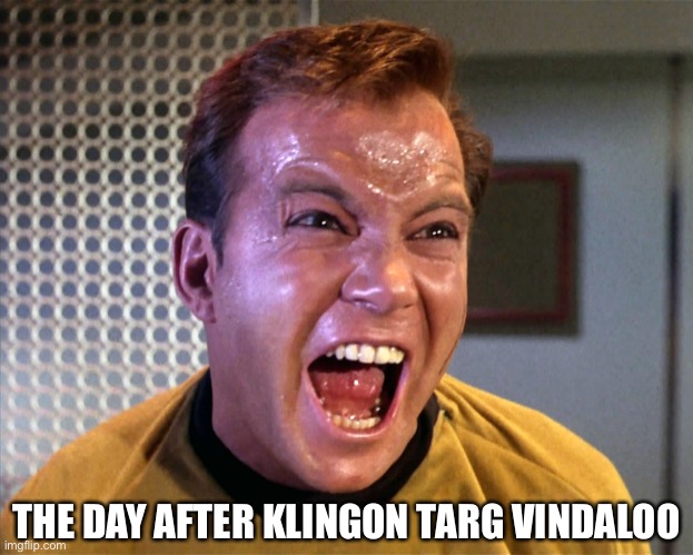 Kirk's clone screaming I want to live | THE DAY AFTER KLINGON TARG VINDALOO | image tagged in kirk's clone screaming i want to live | made w/ Imgflip meme maker
