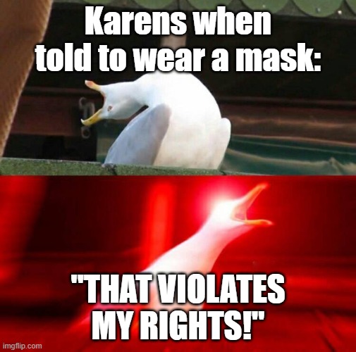 Inhaling Seagull  | Karens when told to wear a mask:; "THAT VIOLATES MY RIGHTS!" | image tagged in inhaling seagull | made w/ Imgflip meme maker