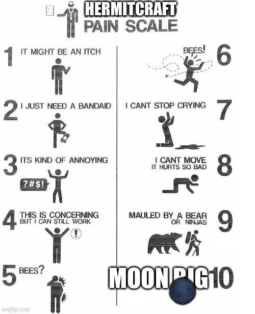 Improved Pain Scale | HERMITCRAFT; MOON BIG; 🌑 | image tagged in improved pain scale | made w/ Imgflip meme maker