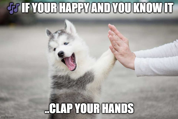 happy dog | 🎶IF YOUR HAPPY AND YOU KNOW IT; ..CLAP YOUR HANDS | image tagged in cute dog meme | made w/ Imgflip meme maker