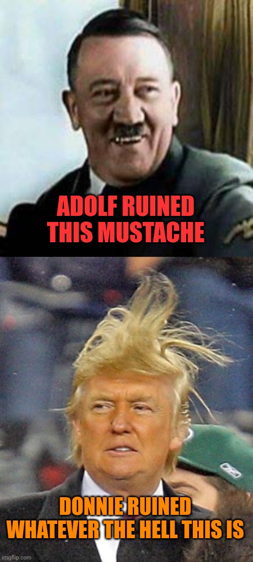 DONNIE RUINED WHATEVER THE HELL THIS IS ADOLF RUINED THIS MUSTACHE | image tagged in laughing hitler,trump hair | made w/ Imgflip meme maker