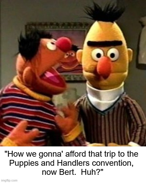 Ernie and Bert | "How we gonna' afford that trip to the 
Puppies and Handlers convention, 
now Bert.  Huh?" | image tagged in ernie and bert | made w/ Imgflip meme maker