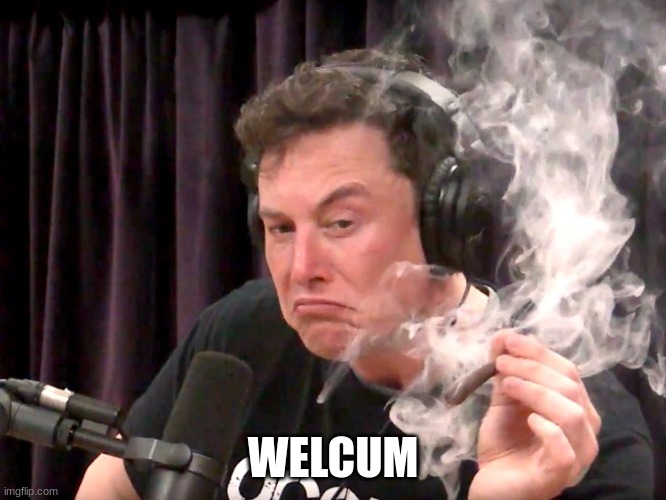 Elon Musk Weed | WELCUM | image tagged in elon musk weed | made w/ Imgflip meme maker