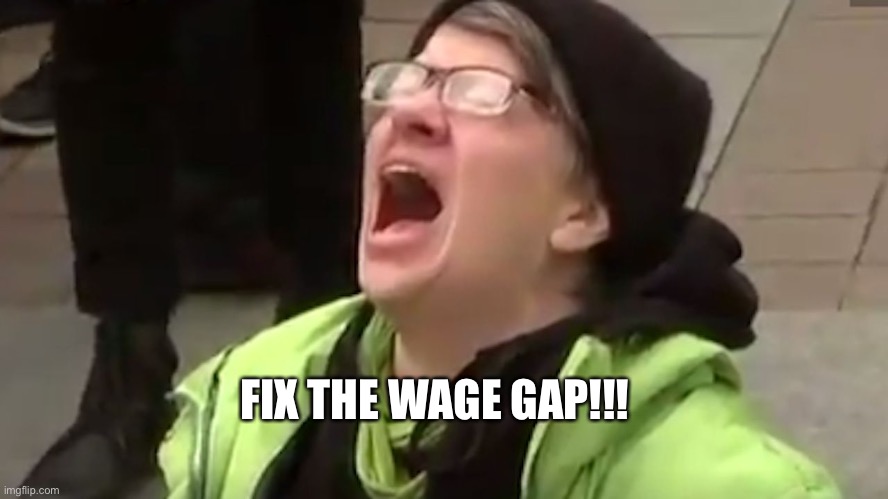 Screaming Liberal  | FIX THE WAGE GAP!!! | image tagged in screaming liberal | made w/ Imgflip meme maker