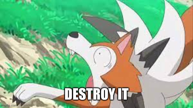 Lycanroc surprized | DESTROY IT | image tagged in lycanroc surprized | made w/ Imgflip meme maker