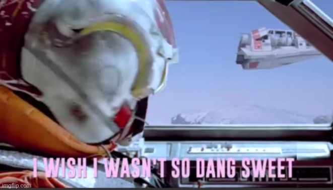 I wish I wasn't so dang sweet | image tagged in i wish i wasn't so dang sweet | made w/ Imgflip meme maker