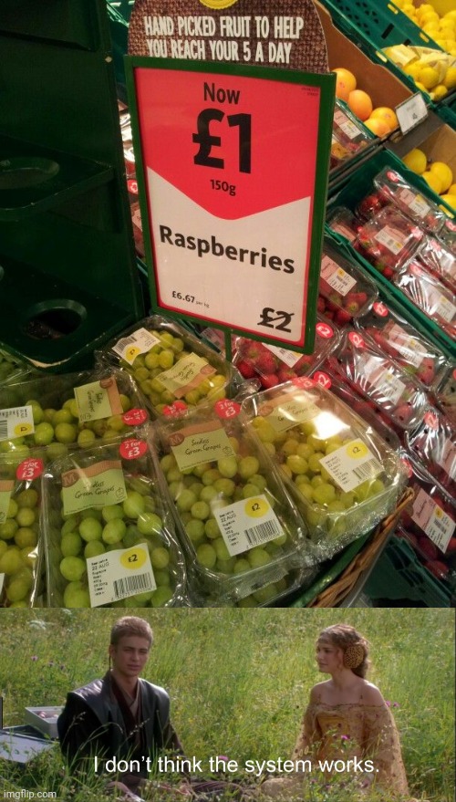 Raspberries, PFFT | image tagged in i don't think the system works,fruits,grapes,you had one job,memes,strawberries | made w/ Imgflip meme maker