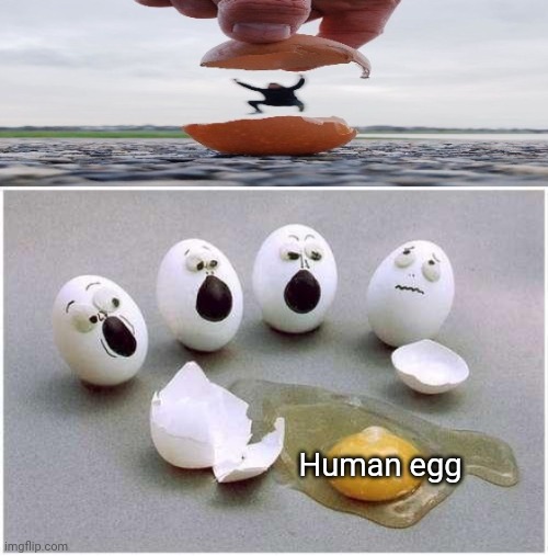 The human egg | Human egg | image tagged in this broken egg,human,eggs,comment section,comments,memes | made w/ Imgflip meme maker