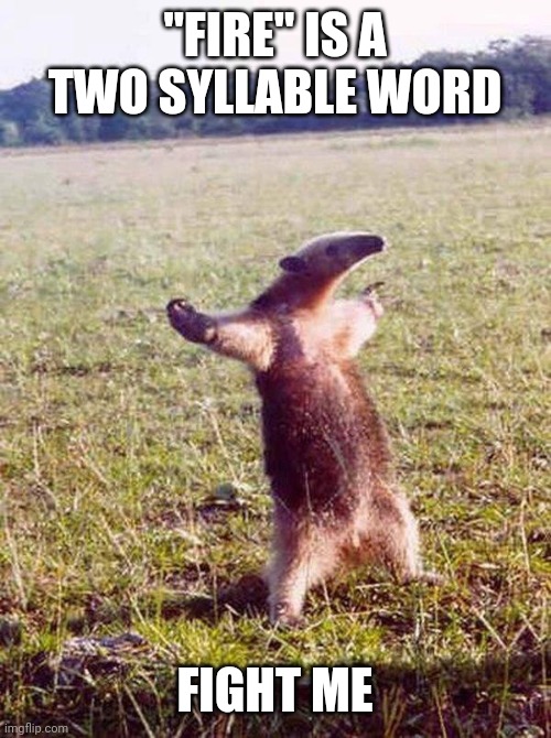 Can't be pronounced as one syllable without a deep Southern accent making it "far". |  "FIRE" IS A TWO SYLLABLE WORD; FIGHT ME | image tagged in fight me anteater,memes,fun | made w/ Imgflip meme maker