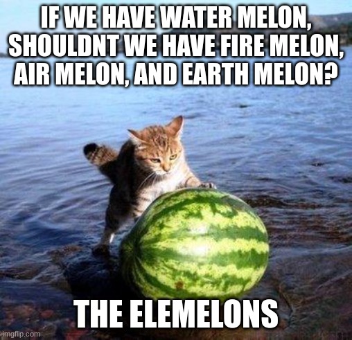 Argument invalid watermelon cat | IF WE HAVE WATER MELON, SHOULDNT WE HAVE FIRE MELON, AIR MELON, AND EARTH MELON? THE ELEMELONS | image tagged in argument invalid watermelon cat | made w/ Imgflip meme maker