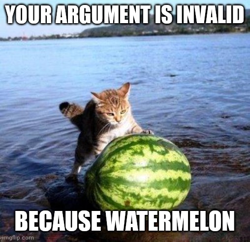 I have no meme ideas | YOUR ARGUMENT IS INVALID; BECAUSE WATERMELON | image tagged in argument invalid watermelon cat | made w/ Imgflip meme maker