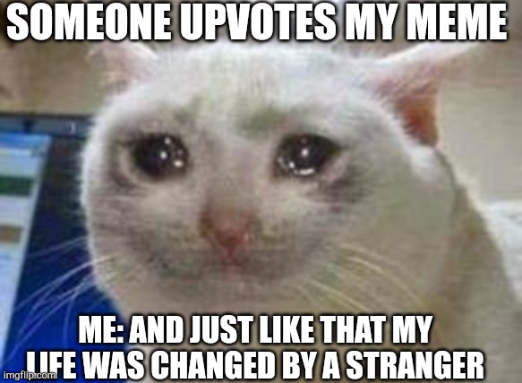 Sad cat | SOMEONE UPVOTES MY MEME; ME: AND JUST LIKE THAT MY LIFE WAS CHANGED BY A STRANGER | image tagged in sad cat | made w/ Imgflip meme maker