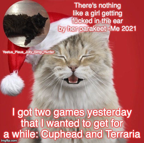 Christmas Template | I got two games yesterday that I wanted to get for a while: Cuphead and Terraria | image tagged in christmas template | made w/ Imgflip meme maker