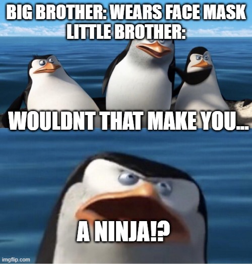 Ninja | BIG BROTHER: WEARS FACE MASK
LITTLE BROTHER:; WOULDNT THAT MAKE YOU... A NINJA!? | image tagged in wouldn't that make you | made w/ Imgflip meme maker