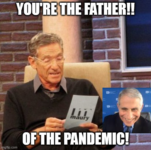 Tony Fauci MD | YOU'RE THE FATHER!! OF THE PANDEMIC! | image tagged in memes,maury lie detector,fauci | made w/ Imgflip meme maker