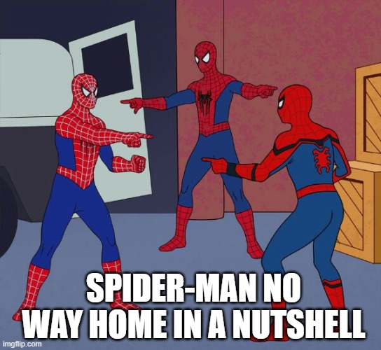 Spoilers for No Way Home!!! |  SPIDER-MAN NO WAY HOME IN A NUTSHELL | image tagged in spider man triple | made w/ Imgflip meme maker