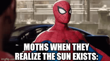 He fli | MOTHS WHEN THEY REALIZE THE SUN EXISTS: | image tagged in gifs,memes,funny,spiderman,moths | made w/ Imgflip video-to-gif maker