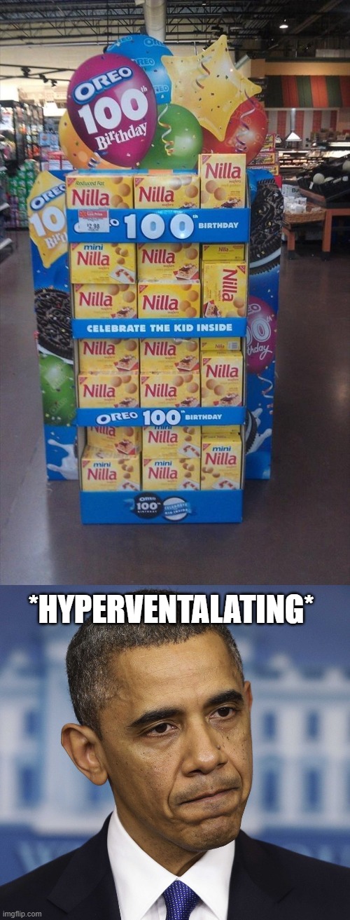 *Insert meaningless title here* | *HYPERVENTALATING* | image tagged in you had one job,nilla | made w/ Imgflip meme maker