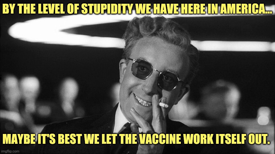 Just a suggestion. | BY THE LEVEL OF STUPIDITY WE HAVE HERE IN AMERICA... MAYBE IT'S BEST WE LET THE VACCINE WORK ITSELF OUT. | image tagged in doctor strangelove says | made w/ Imgflip meme maker