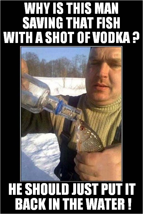 A Fishy Resuscitation ! | WHY IS THIS MAN SAVING THAT FISH WITH A SHOT OF VODKA ? HE SHOULD JUST PUT IT
 BACK IN THE WATER ! | image tagged in fish,resuscitation,vodka | made w/ Imgflip meme maker