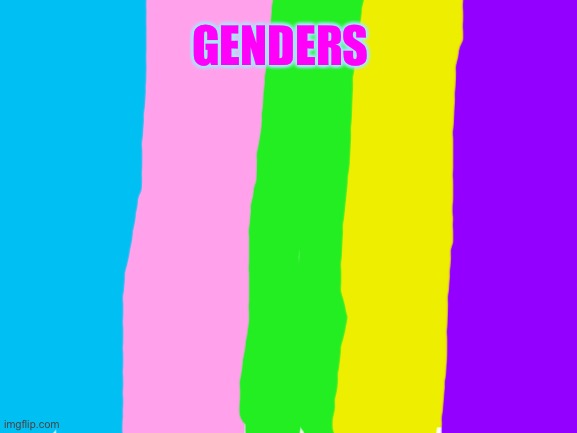 Blank White Template | GENDERS | image tagged in blank white template | made w/ Imgflip meme maker