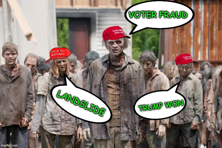 zombies | VOTER FRAUD; LANDSLIDE; TRUMP WON | image tagged in zombies | made w/ Imgflip meme maker