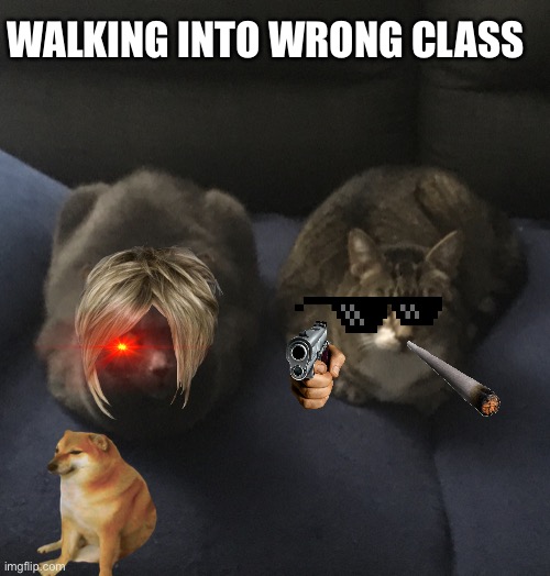 Loaves of bread | WALKING INTO WRONG CLASS | image tagged in loaves of bread | made w/ Imgflip meme maker