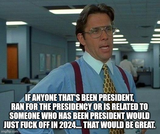 Just stop. | IF ANYONE THAT'S BEEN PRESIDENT, RAN FOR THE PRESIDENCY OR IS RELATED TO SOMEONE WHO HAS BEEN PRESIDENT WOULD JUST FUCK OFF IN 2024.... THAT | image tagged in memes,that would be great,politics,election | made w/ Imgflip meme maker
