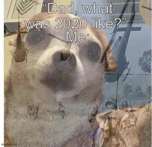 2020 |  “Dad, what was 2020 like?”; Me: | image tagged in ptsd chihuahua | made w/ Imgflip meme maker