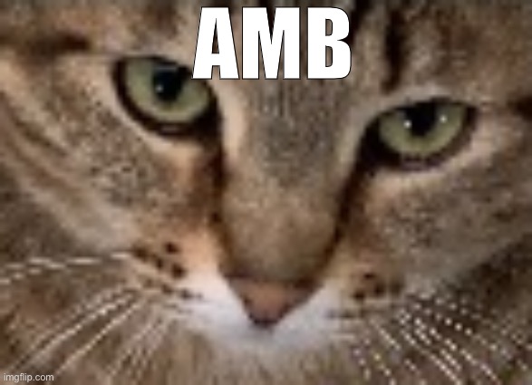 AMB | made w/ Imgflip meme maker