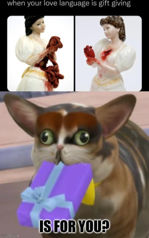 gift4u | image tagged in spleens gift | made w/ Imgflip meme maker