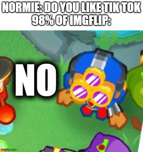 no | NORMIE: DO YOU LIKE TIK TOK
98% OF IMGFLIP: | image tagged in no | made w/ Imgflip meme maker