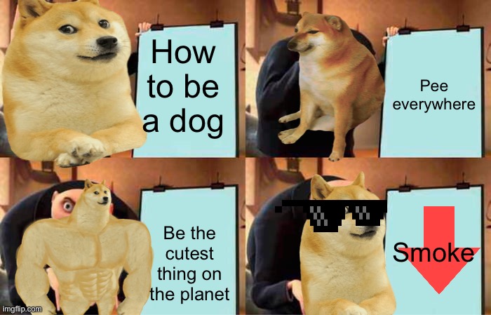 Gru's Plan Meme | How to be a dog; Pee everywhere; Smoke; Be the cutest thing on the planet | image tagged in memes,gru's plan | made w/ Imgflip meme maker