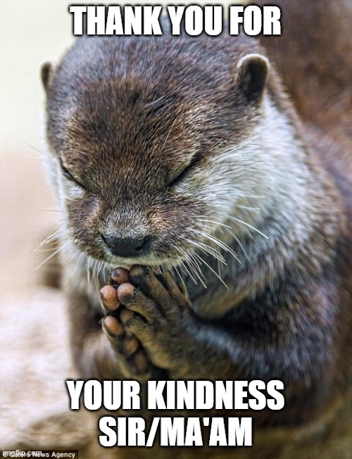 Thank you Lord Otter | THANK YOU FOR YOUR KINDNESS SIR/MA'AM | image tagged in thank you lord otter | made w/ Imgflip meme maker