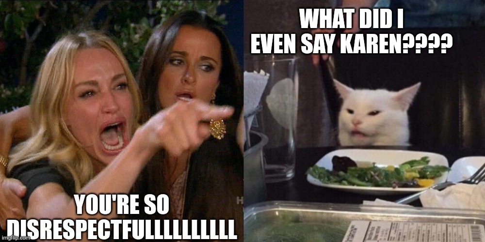Woman yelling at cat | WHAT DID I EVEN SAY KAREN???? YOU'RE SO DISRESPECTFULLLLLLLLLL | image tagged in woman yelling at cat | made w/ Imgflip meme maker