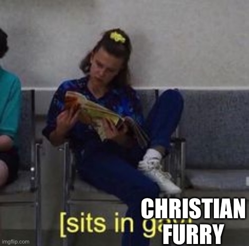 Idek | CHRISTIAN FURRY | image tagged in sits in gay | made w/ Imgflip meme maker