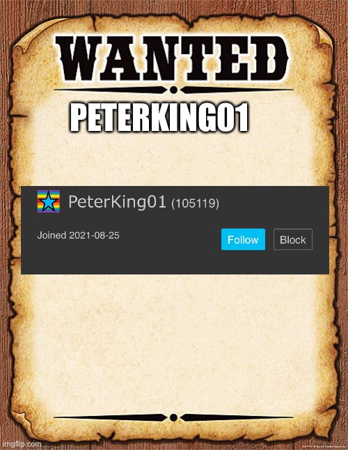 wanted poster | PETERKING01 | image tagged in wanted poster | made w/ Imgflip meme maker