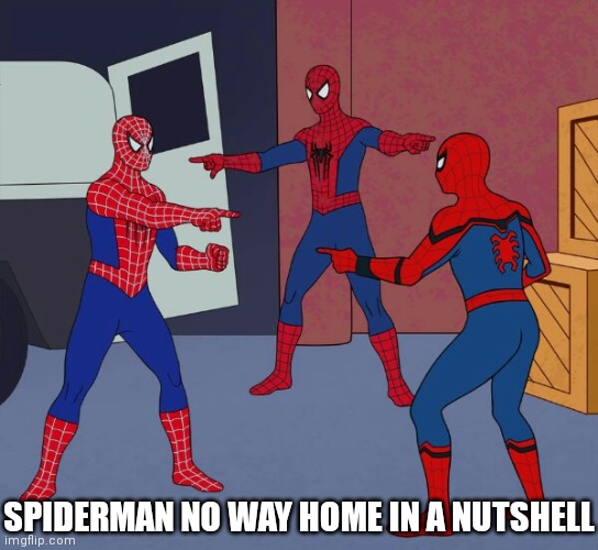 Spider Man Triple | SPIDERMAN NO WAY HOME IN A NUTSHELL | image tagged in spider man triple | made w/ Imgflip meme maker